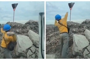 Парень бросил камень в дорожный знак, облепленный пчелами