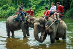 На слонах больше не покатаешься – лавочку прикрыли