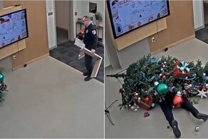 Полицейский из Техаса проиграл битву с рождественской ёлкой
