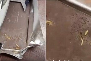 Жительница Краснодара купила в&nbsp;популярном супермаркете шоколад с&nbsp;червями