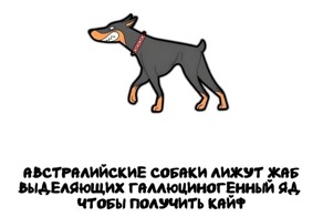 А вдруг ты не знал…