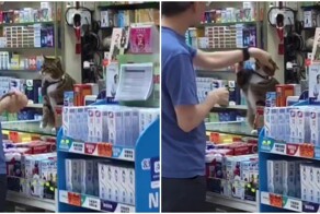 Мужчина пристаёт к пушистому сотруднику магазина