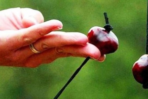 Самые необычные виды спорта (25 фото)