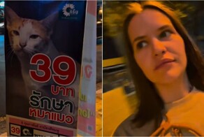 В парламент Таиланда выдвинулся кот