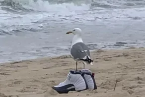 20 примеров, демонстрирующих, как виртуозно перспектива играет с разумом