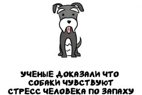 А вдруг ты не знал…