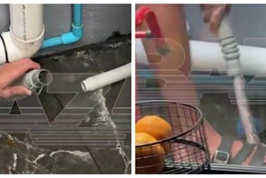 Змея заползла в сливной шланг стиральной машины в Таиланде