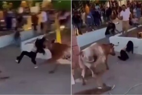 В Мексике бык набросился на девушку во время корриды