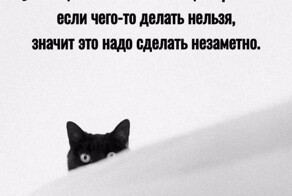 Большая миска улыбатора