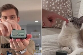 Американец придумал телефон для кошек, чтобы наблюдать за ними