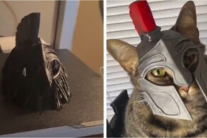 Парень напечатал на 3D-принтере забавные шлемы и шапки для своего кота