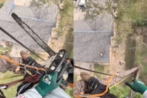 Даже у профессионала случаются неловкие моменты при работе с бензопилой