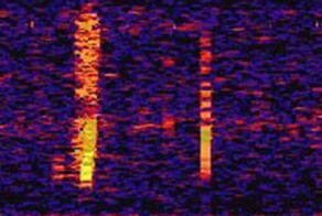 Что издавало таинственный звук Bloop в Точке Немо?