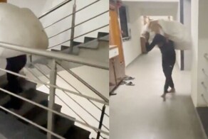 Курьера заставили подниматься по лестнице с тяжелой посылкой