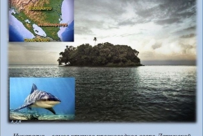 Интересные факты (20 фото)