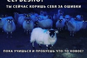 Скрины из соцсетей