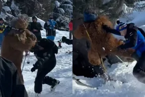 Толпа горнолыжников избила Чубакку на курорте Валь-Торанс во Франции