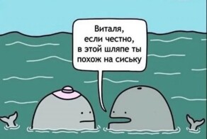 Скрины из соцсетей