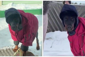 Первый парень не деревне