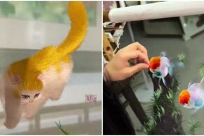 Искусство двусторонней вышивки