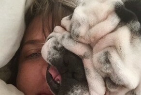 20+ питомцев, которые не могут существовать без своего человека