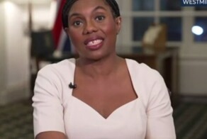 Крыса пробежала в Вестминестерском дворце во время интервью