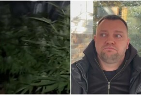 Наркоплантатор заявил полицейским, что на самом деле сажал помидоры