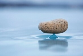 На общую тему&nbsp;