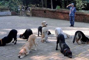 Эмоциональные фото-10