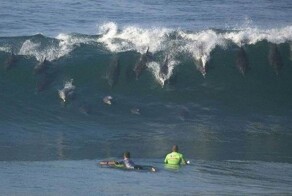 Эмоциональные фото-11