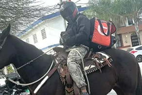 Транспорт подвел: курьер решил доставлять заказ верхом на лошади