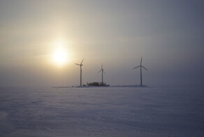Финская «зеленая мечта» замерзла при −35°C