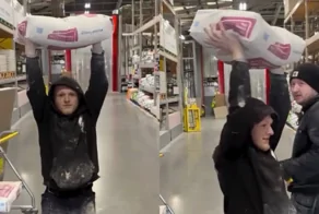 Друзья и коварный план