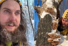 Биолог отправился в зимний лес за грибами