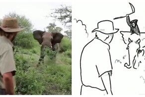 Когда ангел-хранитель работает в&nbsp;поте лица