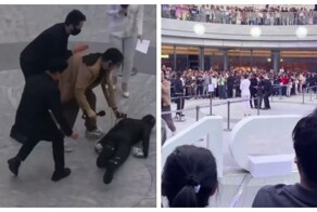 Робот упал во время публичной демонстрации