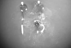 Ловушка для ловли лобстеров спасла жизнь серфингисту