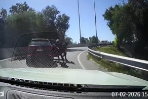 Попытка ограбления (с хорошим финалом)