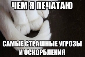 Скрины из соцсетей