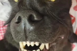 18 снимков, демонстрирующих, что реальность представляет собой только одну из точек зрения