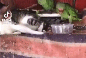 Просто гифки, всякие и&nbsp;разные