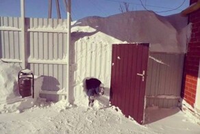 Эмоциональные фото-13