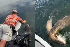 Рыбалка закончилась встречей с крокодилом