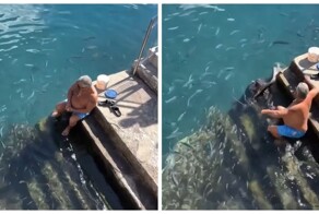 Мужчина подкармливает ската