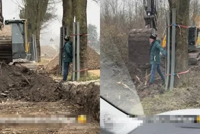 Активист встал перед техникой, чтобы спасти дерево от вырубки