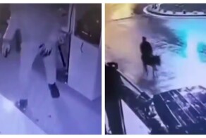 Грабитель скрылся с места преступления на осле