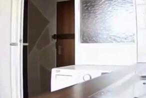 Кот нашёл камеру, которая следила за ним