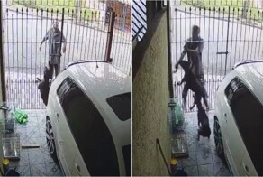 В Бразилии мужчину укусила сторожевая собака при попытке кражи