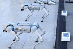 В Мексике полиция будет патрулировать улицы с роботами‑собаками