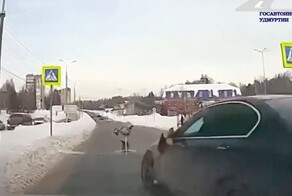 Женщина на BMW сбила ребёнка на пешеходном переходе